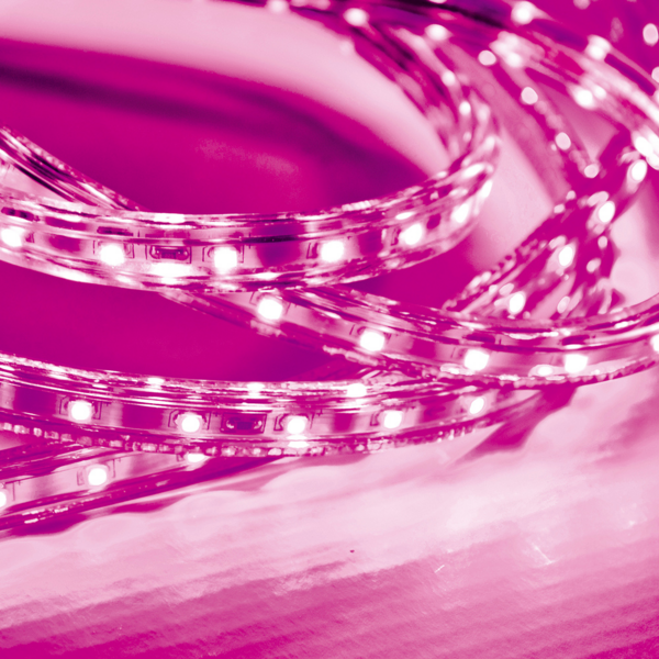 Fita Led Taschibra 5w/m Ip67 220v Alta Proteção Cores | Valor